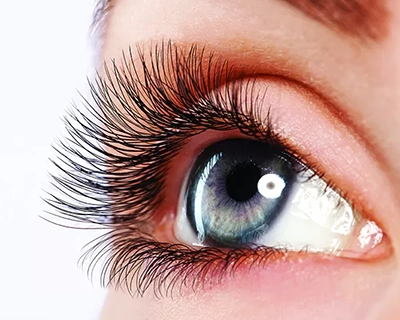 Eyelash Extension Certification